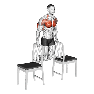 tricep-dips-with-chairs tricep-dips-with-chairs