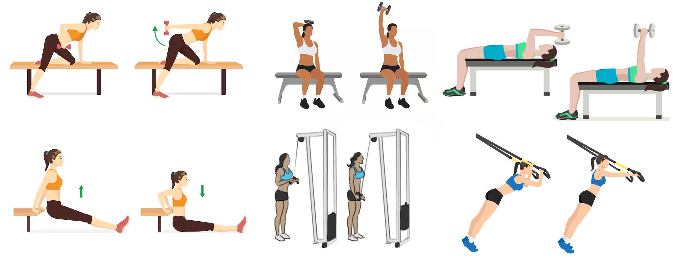 panel exercices triceps