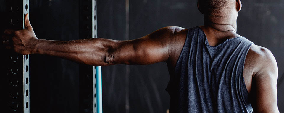 Leçon d&rsquo;anatomie : le Triceps Brachial