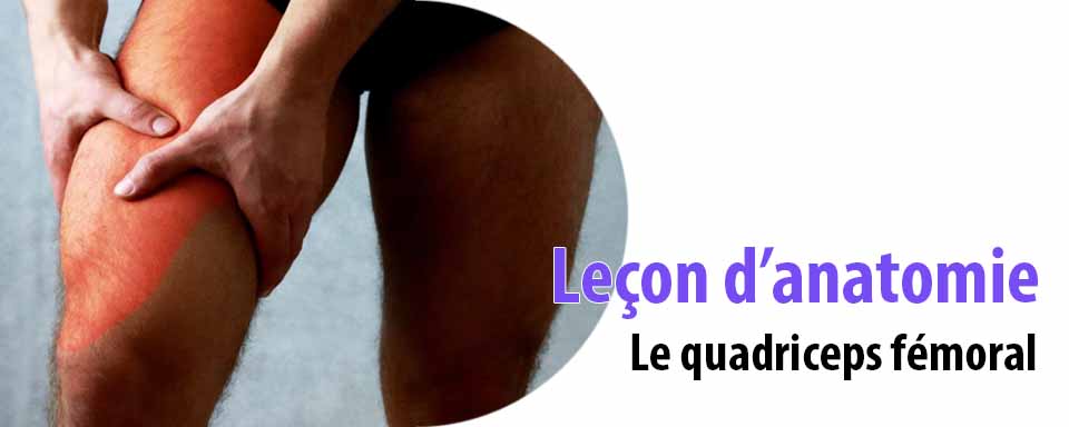 quadriceps lyoncoaching coach sportif lyon cédric thollet