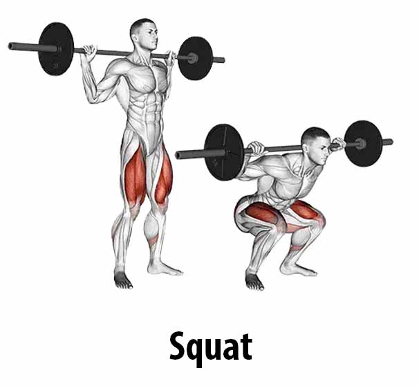 squat renforcement quadriceps lyoncoaching coach sportif lyon